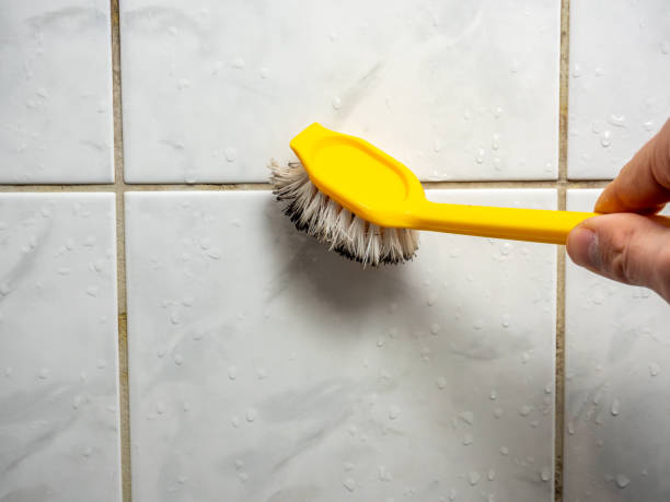 Mold Testing and Removal in Cornelia, GA